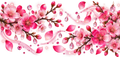 Primavera de Sakura para Snowglobe 16 oz (Árbol de cerezo)